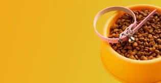 banner_04.webp.bv_resized_desktop.webp.bv